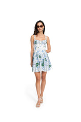 SPRING IVY DRESS