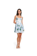 SPRING IVY DRESS